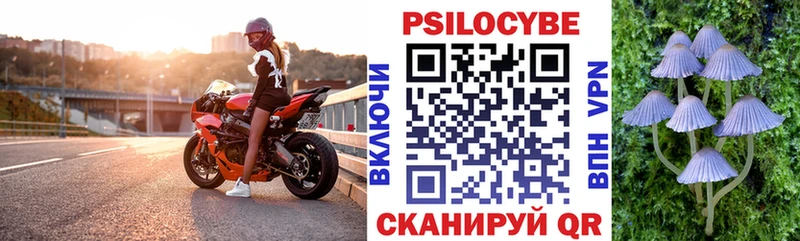 Псилоцибиновые грибы Psilocybine cubensis  Тбилисская 